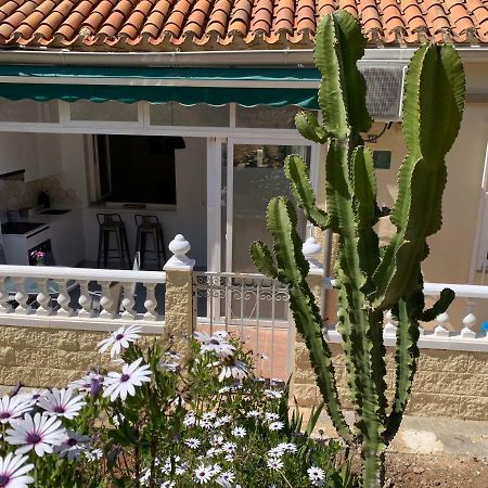La Siesta Apartment Бенидорм Екстериор снимка